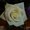 Photo of Qype User (Botter…)