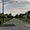Photo of Joe D.