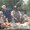 Photo of Brian B.