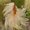 Photo of Rebeckah B.