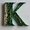 Photo of Karan P.
