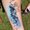 Photo of Pedro J.