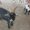 Photo of Jim R.
