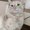 Photo of Zoila B.