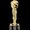 Photo of Jennifer M.