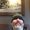 Photo of Dorn S.