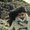 Photo of Deeksha S.