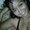 Photo of Yolanda V.