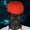 Photo of Sess T.