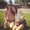 Photo of Kasey H.
