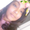 Photo of Evette R.