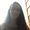 Photo of Hayley G.