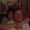 Photo of Tammy N Kory A.
