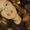 Photo of Kerry M.