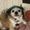 Photo of bendy b.