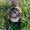 Photo of Joey N.