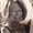Photo of Karen H.
