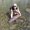 Photo of Hugh S.