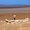 Photo of Qype User (Lucgbu…)