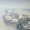Photo of Eric-Jan S.