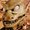 Photo of Gorn R.