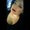 Photo of Liz R.