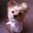 Photo of Abi H.