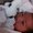 Photo of Darlene Y.