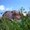 Photo of Qype User (askaj…)