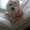 Photo of Misa M.