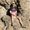 Photo of Zacharie T.