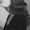 Photo of Teri A.