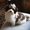 Photo of Thais Marie H.