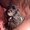 Photo of Tarah M.