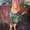 Photo of Sherry E.