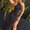 Photo of Tricia B.