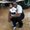 Photo of Tashaun H.