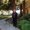 Photo of Vincent S.