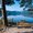 Photo of Larry B.