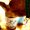Photo of Ro B.