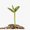 Photo of Hollie R.