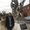 Photo of Zid M.
