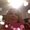 Photo of Patricia N S.