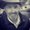 Photo of Coy K.