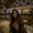 Photo of Diana Leticia R.