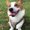 Photo of Rachel C.