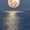 Photo of Brock D.