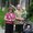 Photo of Sue H.