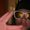 Photo of Elianna C.