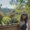 Photo of Julissa C.